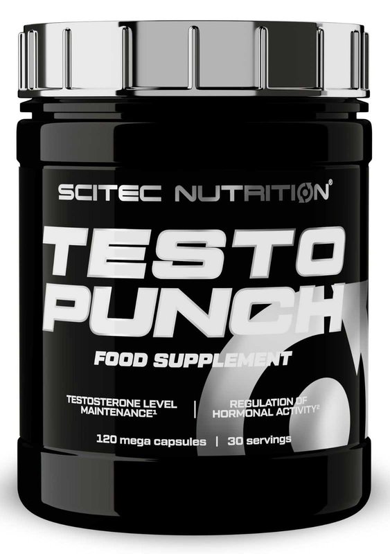 Testo Punch